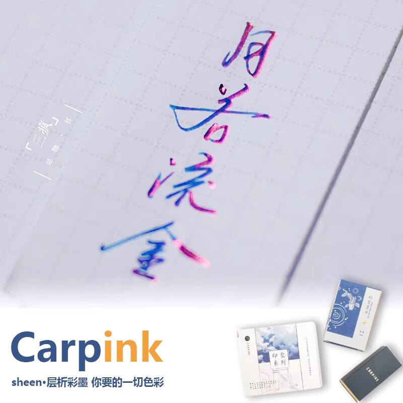 Carpink Non-Carbon Fountain Pe - Fountain Pen Bottled Ink recension och pris